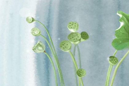 清明节的意义是什么 清明节的意义是什么